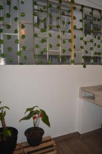 una habitación con macetas en la pared en Acogedor apartamento cerca al movistar arena, en Bogotá