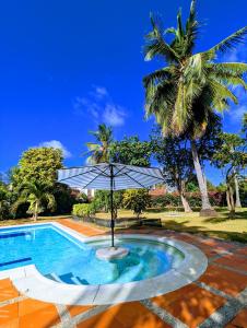 a pool with an umbrella and a palm tree at Capi´s Place in San Andrés