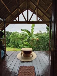 a hat sitting on a wooden deck with a plant at SMALL CABIN IN THE SOUTH 