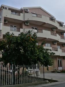 a building with an orange tree in front of it at Guest House Zec in Budva