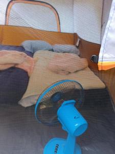 eine Person befindet sich in einem Kinderbett mit einem blauen Objekt darauf in der Unterkunft Wassana Camp & Khai Jungle Experience Centour in Ban Kraison