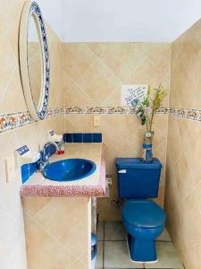 ein Badezimmer mit einem blauen WC und einem Spiegel in der Unterkunft Casa de Mamá Nico in Barrio Nuevo