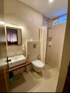 ジョードプルにあるBanaji Heritage Haveliのバスルーム(トイレ、洗面台、シャワー付)