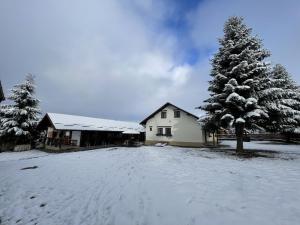 a house with a snow covered driveway next to a tree at Pensiunea Vis Alpin Belis in Beliş