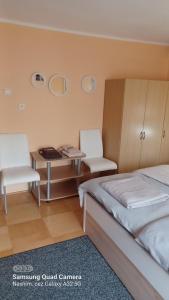 um quarto com uma cama, 2 cadeiras e uma mesa em Apartmán 81 em Nová Lesná