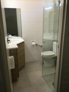a bathroom with a toilet and a glass shower at 7th Street Motel in Mildura
