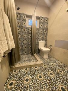 a bathroom with a shower and a toilet in it at Silk Route Lodge in Gulmit