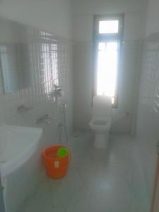 a bathroom with a sink and a toilet and a window at Ajit Homestay, Darjeeling in Darjeeling
