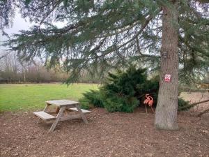 uma mesa de piquenique ao lado de uma árvore ao lado de uma árvore em Oak Tree Escape em Brome