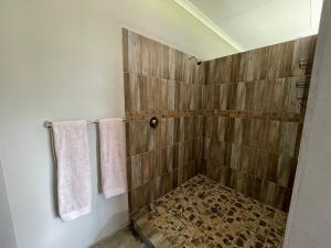 a bathroom with a shower with wooden tiles at Holbank River Lodge in Ermelo