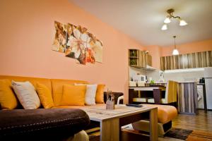 A kitchen or kitchenette at Sunflower Apartment City Center