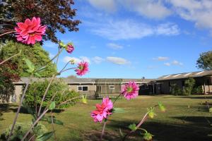 Jack & Di's Lakefront Motel外面的花园
