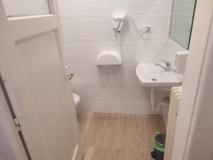 a small bathroom with a toilet and a sink at Iancu Apartments in Bucharest