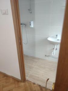 a bathroom with a shower and a sink at Iancu Apartments in Bucharest