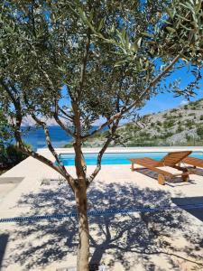 a tree and a picnic table next to a pool at Casa sole infinito in Senj