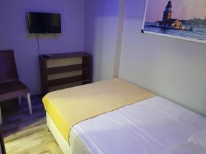 TV a/nebo společenská místnost v ubytování EYFEL HOTEL