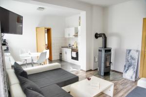 ein Wohnzimmer mit einem Sofa und einem Kamin in der Unterkunft unteres Apartment 110qm in Mönkebude