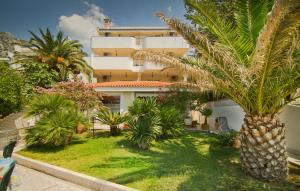 a palm tree in front of a building at Apartments Villa Mare Mar in Sutomore