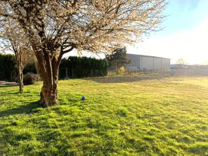 un árbol en un campo con una bola azul en la hierba en Studio confortable, parking et jardin, en Buchères