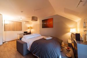 1 dormitorio con 1 cama en una habitación en Studio confortable, parking et jardin, en Buchères