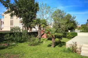 a yard with two palm trees in front of a house at Merlini in Medulin