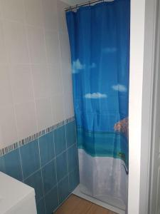 a bathroom with a shower with a blue shower curtain at Maison au calme 2 à 300 m de la plage 2 chambres in La Cotinière