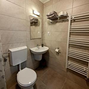 Vonios kambarys apgyvendinimo įstaigoje Kodaros Studio Parajd