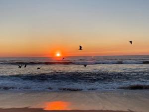 een groep vogels die bij zonsondergang over de oceaan vliegen bij Proche de la plage et du métro, 1 place de garage in Póvoa de Varzim