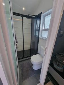 La salle de bains est pourvue de toilettes et d'une porte de douche en verre. dans l'établissement Unique Pod Stay, à Durban