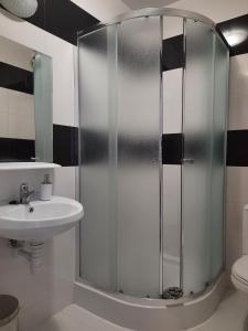 a bathroom with a shower and a sink at Hotel Zabawa in Zabawa