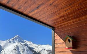 a birdhouse on the side of a building with a snow covered mountain at Panorama Cottages in Stepantsminda