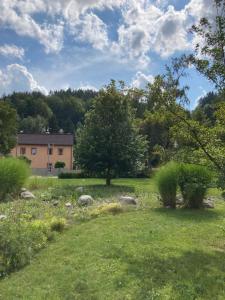 a garden with a building in the background at Apartmán Hopi Hopi Svoboda nad Úpou in Svoboda nad Úpou