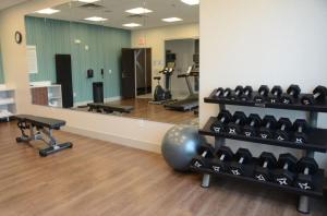 a gym with a mirror and a bunch of exercise equipment at Holiday Inn Express & Suites Franklin - Berry Farms, an IHG Hotel in Franklin