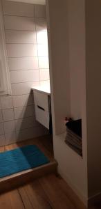 Baño pequeño con alfombra azul y encimera en Appartement 2 chambres, en Rennes