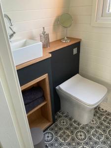 a bathroom with a sink and a toilet and a mirror at Abbey farm luxury glamping in Rhuddlan