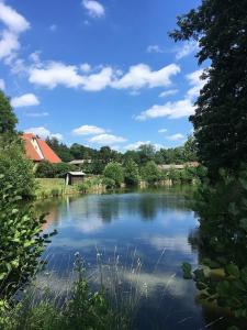 een uitzicht op een meer met bomen en een blauwe lucht bij Ferienwohnung Schwabenhof in Leutershausen
