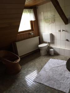 a bathroom with a toilet and a window and a rug at Ferienwohnung Schwabenhof in Leutershausen