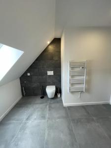 - une salle de bains mansardée avec toilettes dans l'établissement Chaleur Moderne des Pyrénées, à Argelès-Gazost