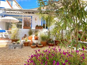 a garden with lots of potted plants and flowers at Casa da Aldeia in Santa Bárbara de Nexe