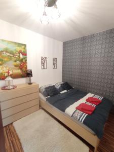 1 dormitorio con 1 cama y una pintura en la pared en MK Apartament III, en Rzeszów