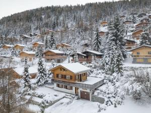 Το Chalet Eloise by Interhome τον χειμώνα