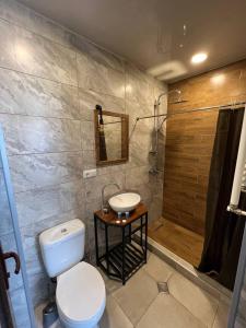 a bathroom with a toilet and a shower at Hotel Boutique George in Tbilisi City