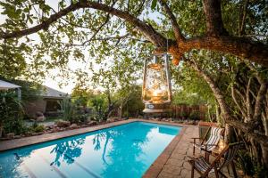 a chandelier hanging from a tree next to a swimming pool at Bosveld Villa in Marloth Park