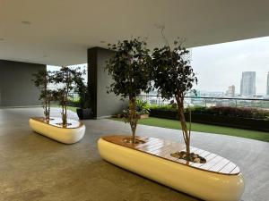 two boats with trees in them in a building at SKS Pavillion Minimalistic and Cozy studio in Johor Bahru