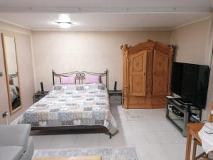 1 dormitorio con 1 cama y TV de pantalla plana en Apartment Curly, en Scheyern