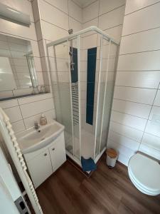 La salle de bains est pourvue d'une douche, d'un lavabo et de toilettes. dans l'établissement Buntes Haus, à Erfurt