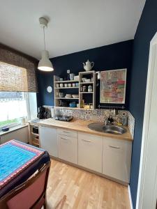 eine Küche mit einem Waschbecken und einer blauen Wand in der Unterkunft Buntes Haus in Erfurt