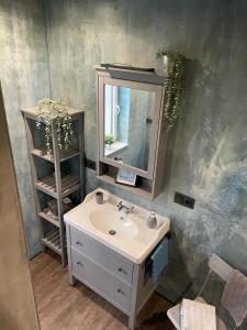 a bathroom with a sink and a mirror at Ferienhaus Bella Haus am Harkebrügger See in Barßel