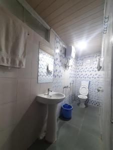łazienka z umywalką i toaletą w obiekcie Kanari B&B w mieście Dardżyling