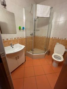 een badkamer met een douche, een toilet en een wastafel bij Penzión ONE in Dolný Ohaj